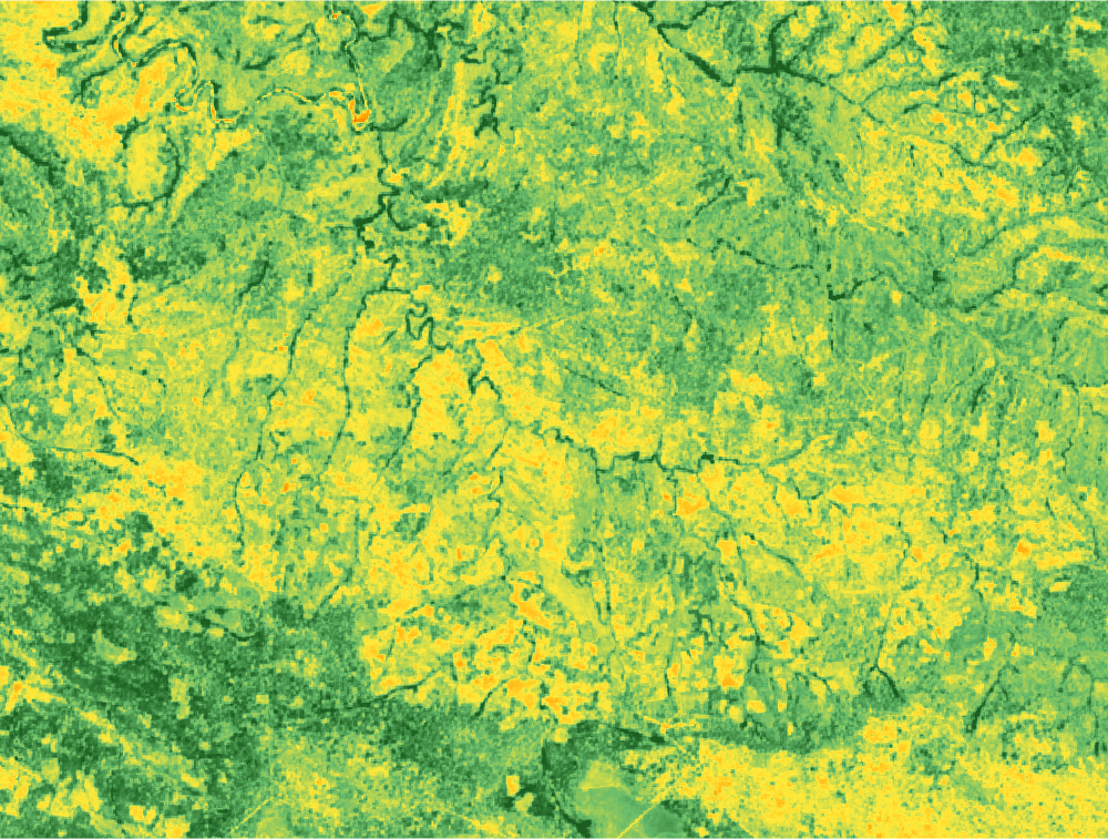 NDVI map